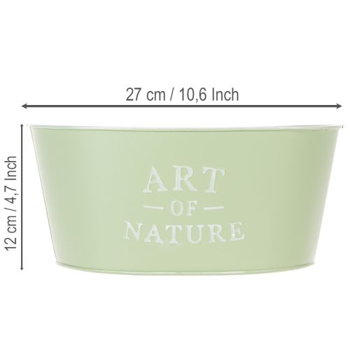 Flower bowl oval zinc mint green 27×18cm H12.5cm | Floristik24.co.uk