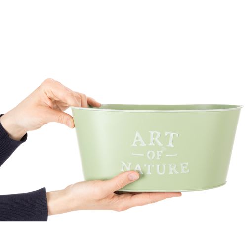 Flower bowl oval zinc mint green 27×18cm H12.5cm | Floristik24.co.uk
