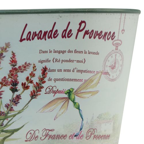 Product Flower bowl oval lavender flower pot plastic 21.5×12.5cm H11cm