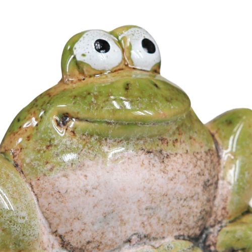 Product Flower Stick Frog Ceramic Green Brown 6x4x4.5cm 4 pcs