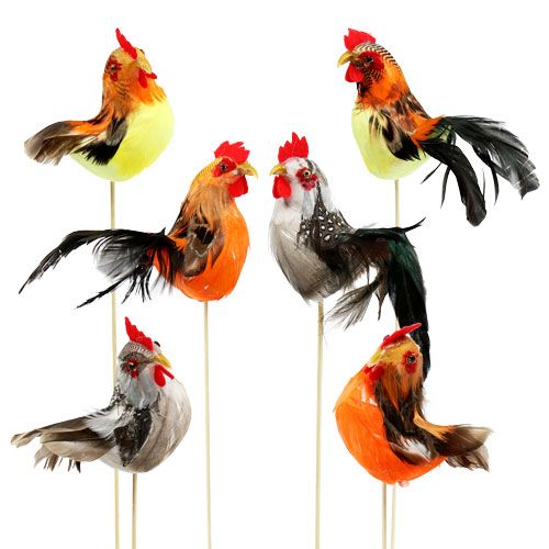 Floristik24 Flower plug rooster assorted colors 25cm 12pcs