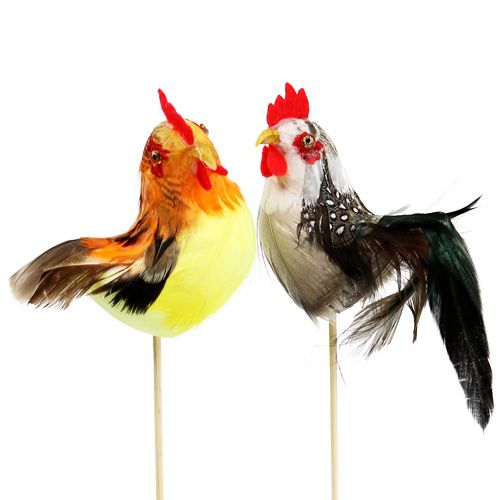 Product Flower plug rooster assorted colors 25cm 12pcs