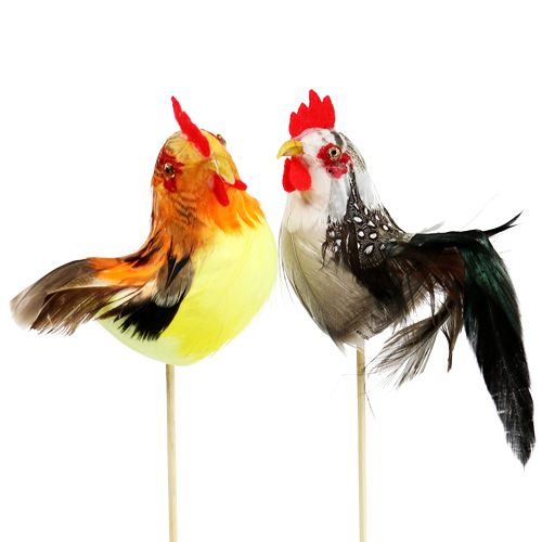 Floristik24 Flower plug rooster assorted colors 25cm 12pcs