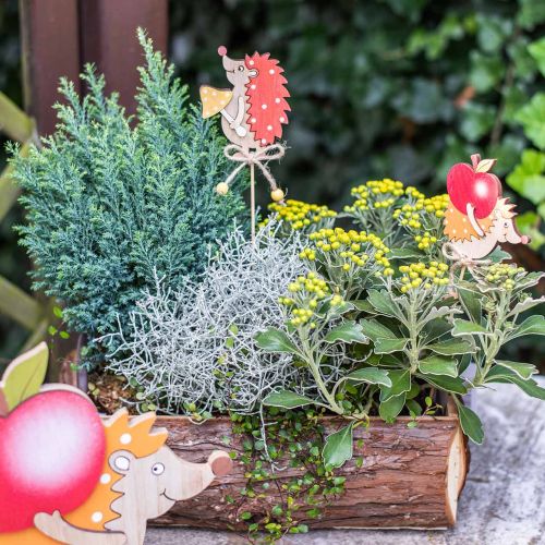 Floristik24 Flower stick hedgehog, wooden decoration, autumn figure H9.5cm L32cm 12pcs