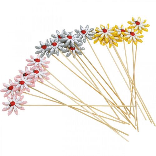 Floristik24 Decorative plug flowers with ladybird spring decoration wood Ø5cm 18 pcs