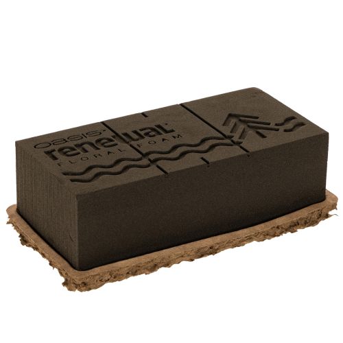 Product OASIS® Renewal® Biolit® Floral Foam Bricks, 24 x 13 x 8 cm, Brown, Pack of 2