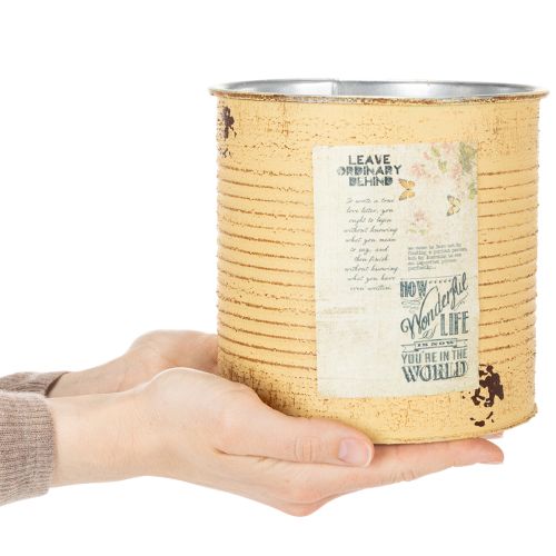 Product Vintage Design Flower Pot Can for Living Room and Office Decoration 15cm 3pcs