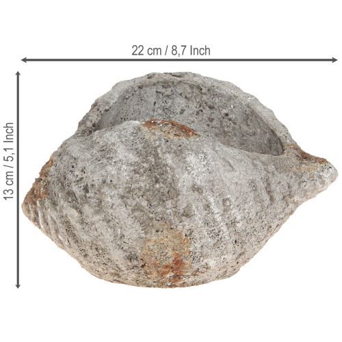 Product Flowerpot shell stone antique grey maritime 22×18×13cm