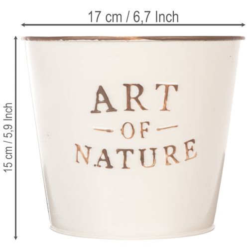 Zinc flower pot Art of Nature Cream Ø17.5cm H15cm | Floristik24.co.uk