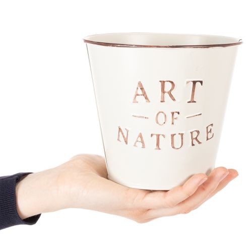ProductName  
Set of 2 Decorative "Art of Nature" Metal Plant Pots – 15cm, Multicolour  

ProductDescription  
<h2>Decorative "Art of Nature" Metal Plant Pots</h2>  

<p>Bring a touch of charm to your living space with this set of 2 decorative plant pots, | Floristik24.co.uk