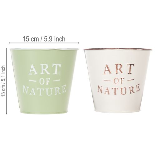 ProductName  
Set of 2 Decorative "Art of Nature" Metal Plant Pots – 15cm, Multicolour  

ProductDescription  
<h2>Decorative "Art of Nature" Metal Plant Pots</h2>  

<p>Bring a touch of charm to your living space with this set of 2 decorative plant pots, | Floristik24.co.uk