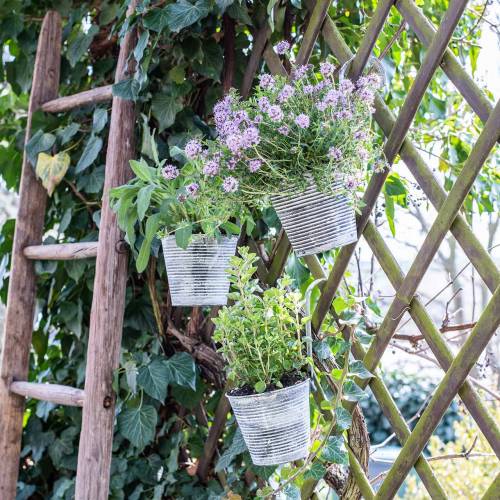 Floristik24 Flower pot for hanging metal antique cream Ø13cm H11.5cm