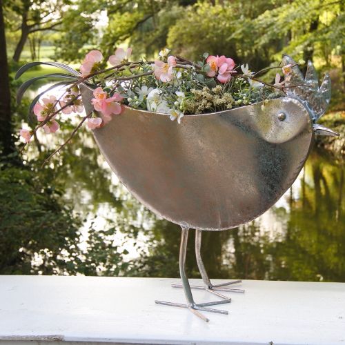 Product Flower Pot Chicken Metal Bird Metallic Rosé 51×16×37cm