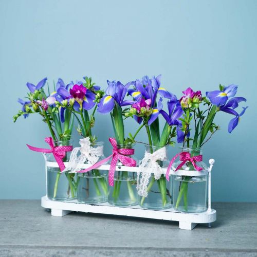 Floristik24 Flower vase apothecary bottles apothecary glass decoration on tray 38cm