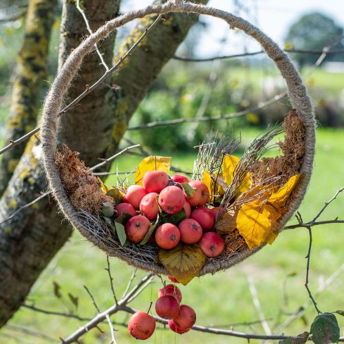 Floristik24 Boho style hanging decoration plant swing decorative ring jute 31cm