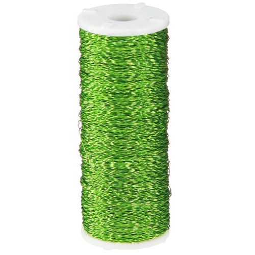 Product Bouillon effect wire Ø0.30mm 100g 140m apple green