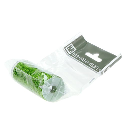 Product Bouillon effect wire Ø0.30mm 100g 140m apple green