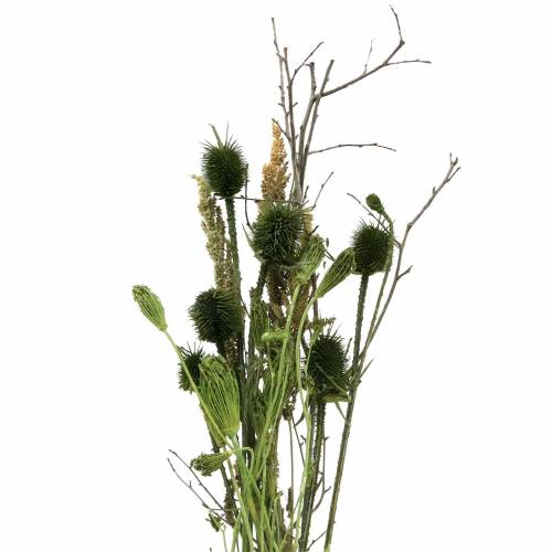 Floristik24 Wildflower bouquet natural, green 25–60cm 70g