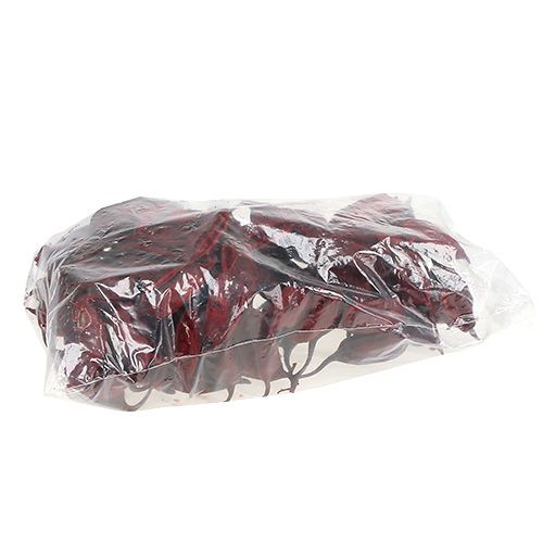 Product Brachyciton Red 500g