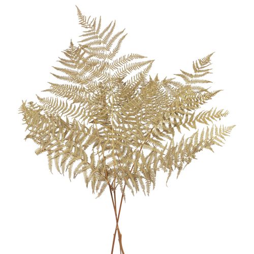 Dried flowers decorative fern dried fern leaves 70cm 10pcs