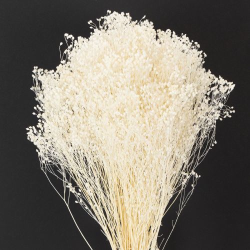 Product Broom Bloom Bleached Dried Flowers White Long Shelf Life 100g