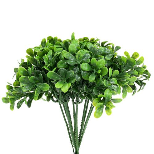 Floristik24 Boxwood branch green L20cm 12pcs