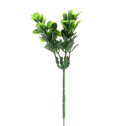 Floristik24 Boxwood branch green L20cm 12pcs