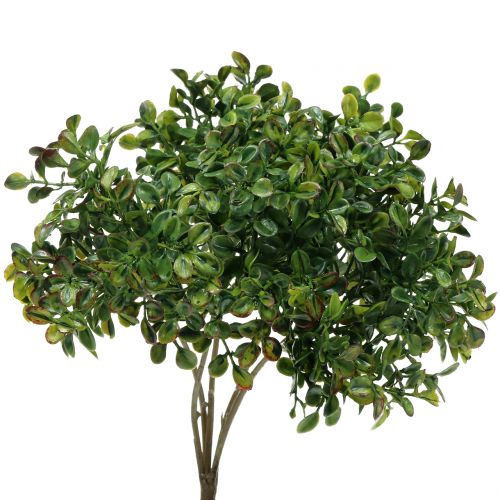 Floristik24 Boxwood branch green 27cm