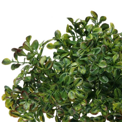 Product Boxwood branch green 27cm