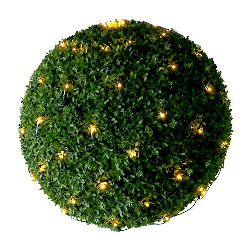 Floristik24 Boxwood net 60 Ø35cm for outside