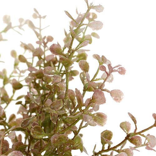 Floristik24 Boxwood branch pink, pink with mica 32cm