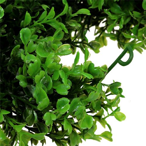 Product Boxwood Garland Green L170cm