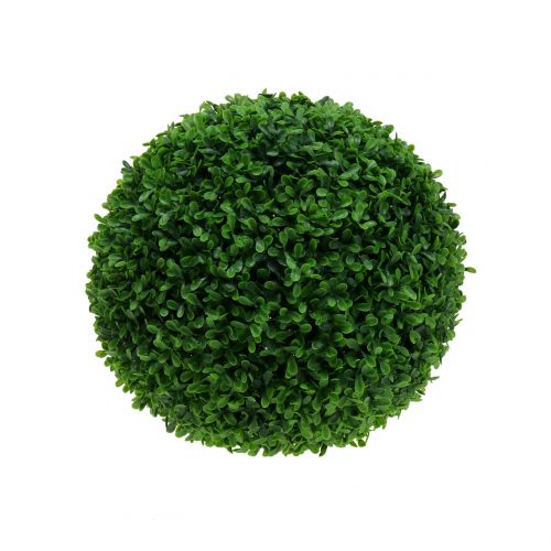 Floristik24 Boxwood ball green Ø20cm