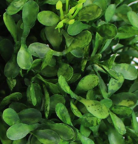Floristik24 Box ball Ø12cm Artificial green plants decoration