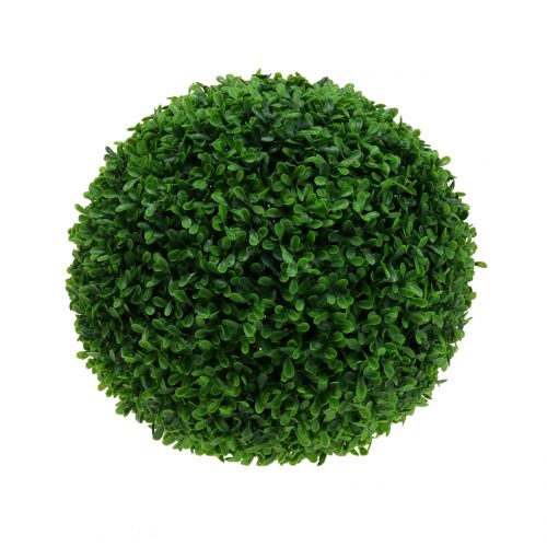 Floristik24 Boxwood ball green Ø25cm