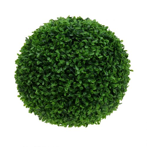 Floristik24 Boxwood ball green Ø30cm