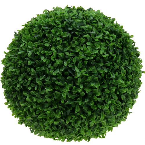 Floristik24 Boxwood ball green Ø55cm