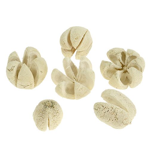 Decorative flower bleached 12 pcs