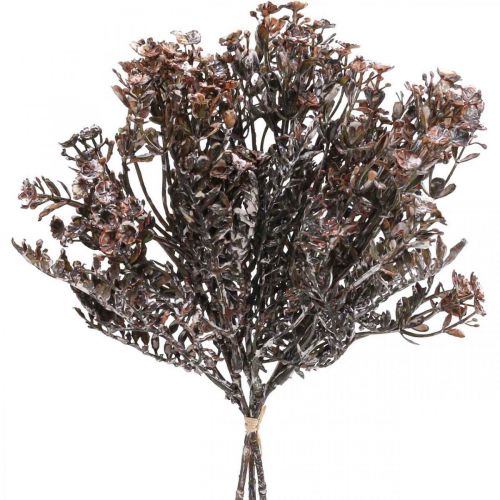 Floristik24 Artificial plants brown autumn decoration winter decoration Drylook 38cm 3pcs