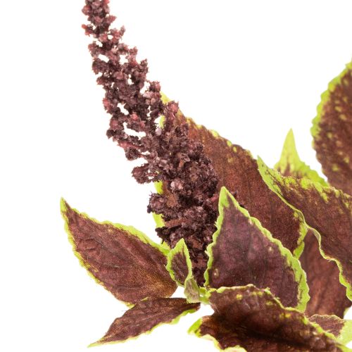 Artificial Coleus Plant with Red Leaves, 20cm Decoration | Floristik24.co.uk