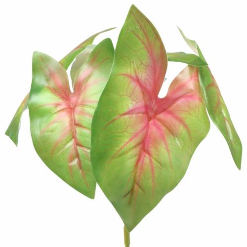 Floristik24 Artificial caladium six-leaved green/pink artificial plant like real!