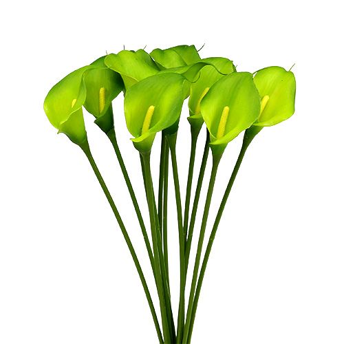 Floristik24 Calla artificial green 8cm L57cm 12pcs