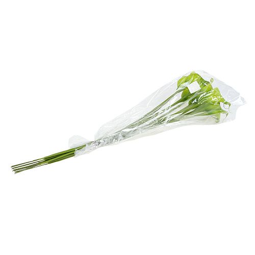 Floristik24 Calla artificial green 8cm L57cm 12pcs