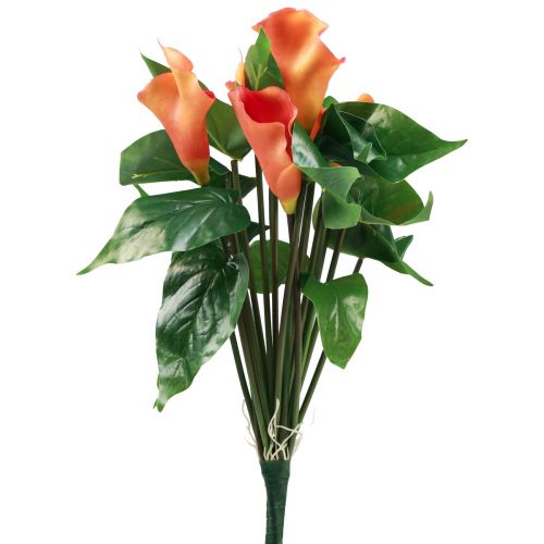 Floristik24 Calla Lily Apricot Calla Artificial Flowers Orange Exotic 44cm