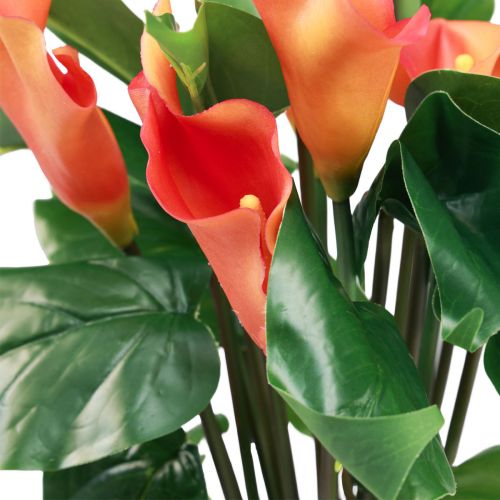 Product Calla Lily Apricot Calla Artificial Flowers Orange Exotic 44cm