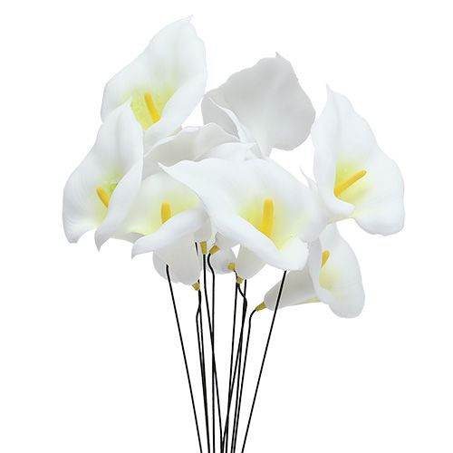 Floristik24 Calla on wire small white 50pcs