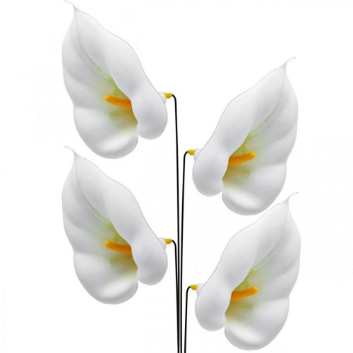 Floristik24 Calla medium on wire 50pcs