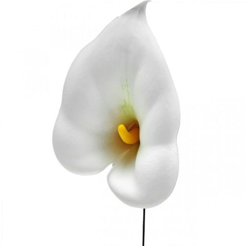 Product Calla medium on wire 50pcs