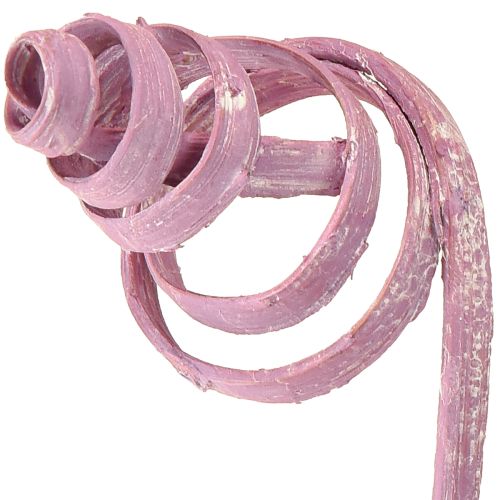 Product Cane Coil Cane Cone Cane Assortment Berry 30cm 75 pcs