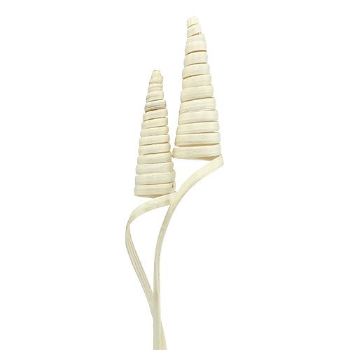 Floristik24 Cane Cone bleached 25 pcs